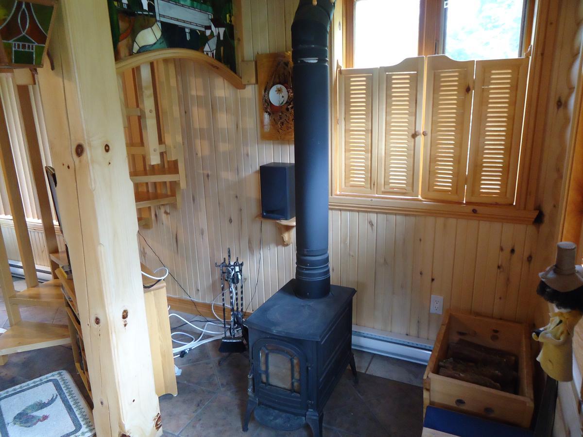 Chalet Saint-Thomas L'Anse-Saint-Jean Bagian luar foto